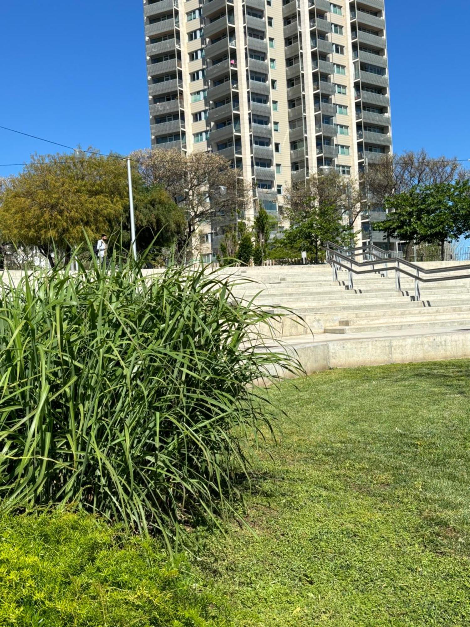 דירות סנט אדריה דה בסוס Torre Forum מראה חיצוני תמונה